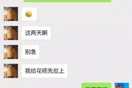 利津要债公司